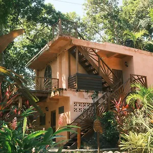 Salvia Madre Santa Marta (Magdalena)